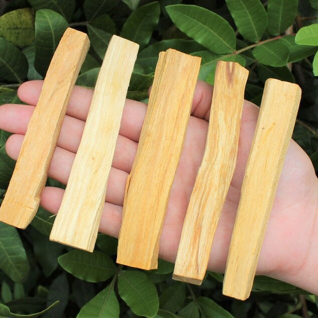 Natural North American Cedar Smudge Stick | California Cedar Incense Stick | Prayer & Meditation White Sage