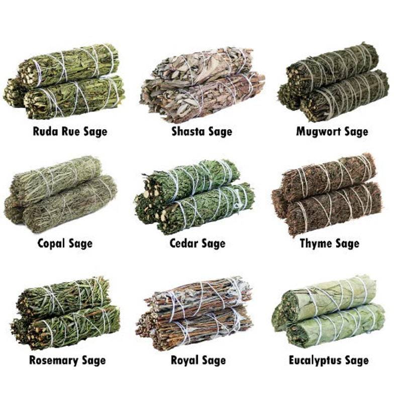 Natural North American Cedar Smudge Stick | California Cedar Incense Stick | Prayer & Meditation White Sage