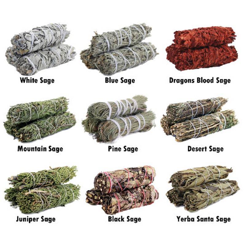 Natural North American Cedar Smudge Stick | California Cedar Incense Stick | Prayer & Meditation White Sage