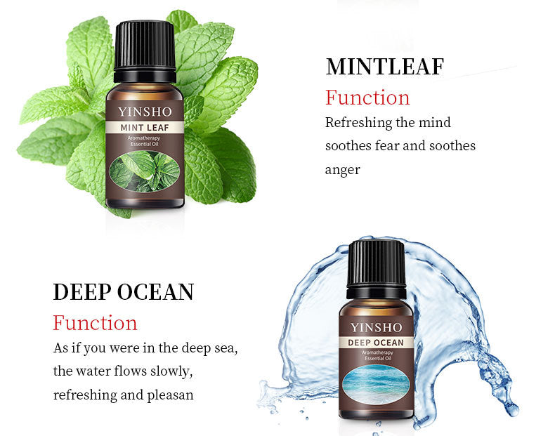 【Meditation Essential Oil】YINSHO Aromatherapy Oil 10ml - Oil-Soluble for Diffuser Stone/Candle, 15 Scents (Lavender/Orange/White Tea) | Sleep Aid & Stress Relief