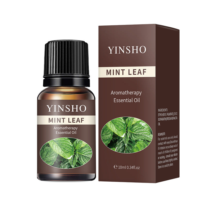 【Meditation Essential Oil】YINSHO Aromatherapy Oil 10ml - Oil-Soluble for Diffuser Stone/Candle, 15 Scents (Lavender/Orange/White Tea) | Sleep Aid & Stress Relief