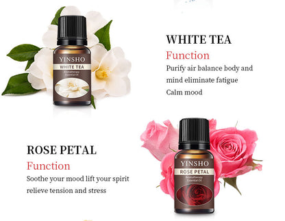 【Meditation Essential Oil】YINSHO Aromatherapy Oil 10ml - Oil-Soluble for Diffuser Stone/Candle, 15 Scents (Lavender/Orange/White Tea) | Sleep Aid & Stress Relief