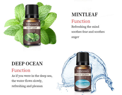 【Meditation Essential Oil】YINSHO Aromatherapy Oil 10ml - Oil-Soluble for Diffuser Stone/Candle, 15 Scents (Lavender/Orange/White Tea) | Sleep Aid & Stress Relief